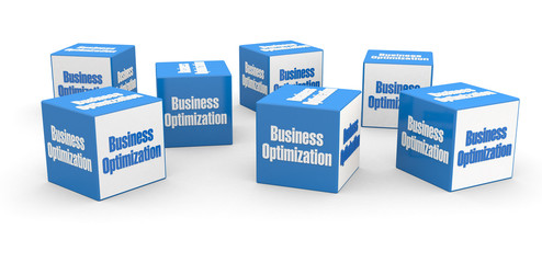 Business Optimization