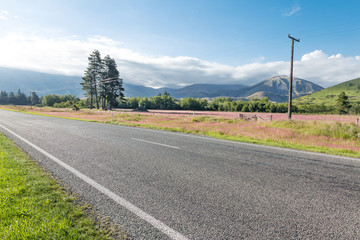 asphalt road near pasture in summer day in New Zealand © zhu difeng