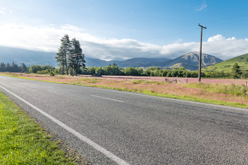 asphalt road near pasture in summer day in New Zealand
