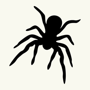 spider icon