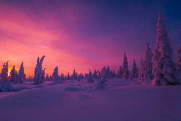 Winter landscape with forest, cloudy sky and sunset. 