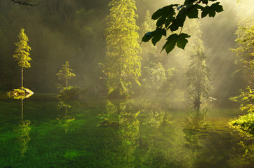 Small Forest Lake