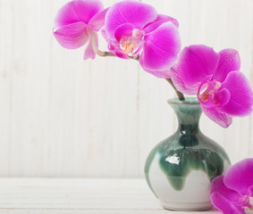 orchid flowers in vase on a wooden table