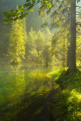 Small Forest Lake