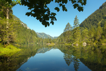 Forest Lake in Gosau Valley, Austria