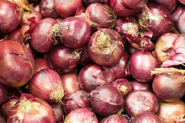Big Red Onions Background