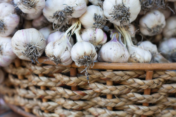 Fresh garlic