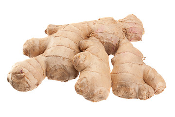 Ginger spice root isolated