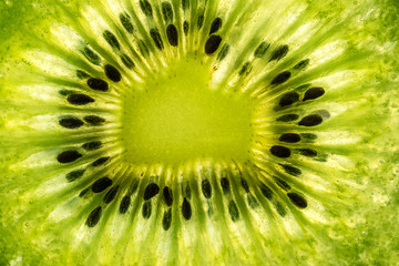 Detail of kiwi fruit slice.
