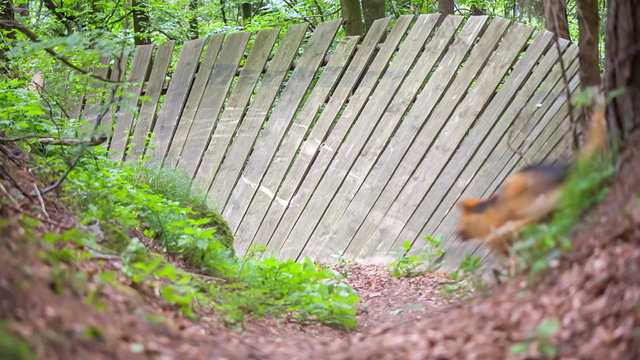 Two cycler is riding fast on danger wooden path