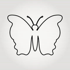 butterfly isolated design 