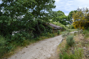Casa abandonada en el bosque