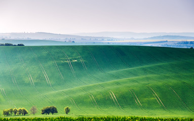 Spring fields. Green waves. Czech Moravia hills