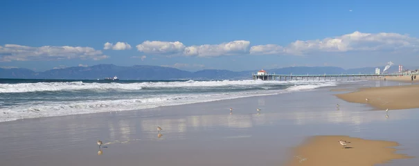 Fototapeten Seitenansicht des Strandes von Los Angeles © Anton Gorlin