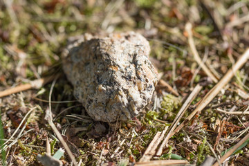 Piedra sobre el suelo