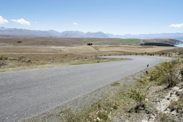 asphalt road near lake in summer day in New Zealand