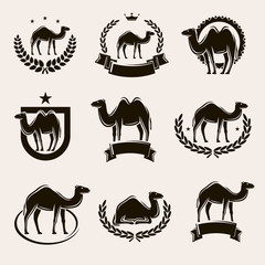 Obraz premium Camel label and icons set. Vector