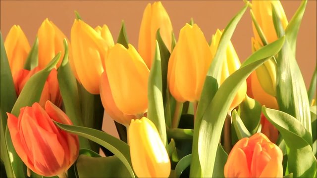 Tulpen Blumenstrau&szlig; orange gelb
