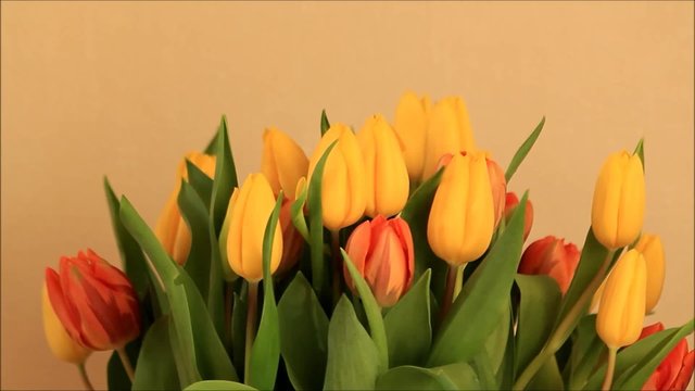 Tulpen Blumenstrau&szlig; orange gelb
