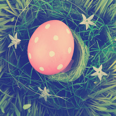 Colorful easter egg in nest on meadow