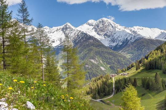 Almwiesen und schneebedeckte Berge