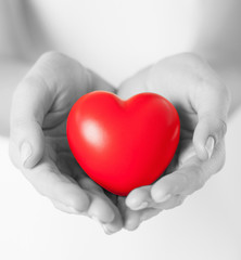 female hands with small red heart