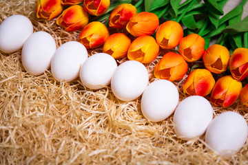 Easter background - close up of eggs and orange flowers