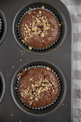 Schokoladen Muffins