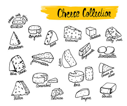 Vector illustration of cheese types in hand drawn style. Isolated on white