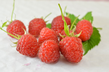 Fresh raspberries on white