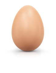 Brown egg