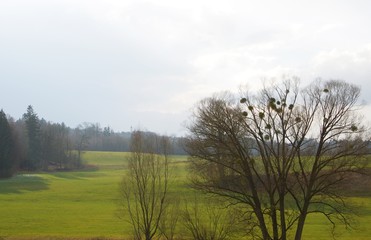 Idyllische Landschaft