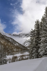 Fototapeta premium winter views of Italian alps and rocky peaks