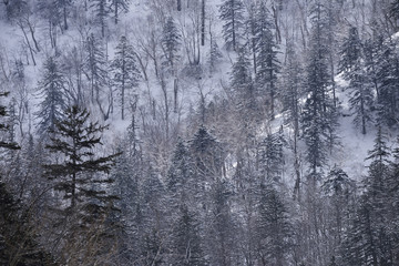 北海道の冬