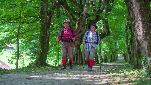 A senior couple hiking in the nature