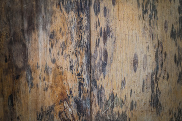 Fototapeta premium Old wood with black patches of mold