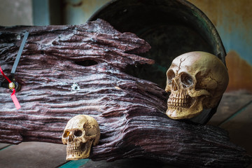 Skull on wooden