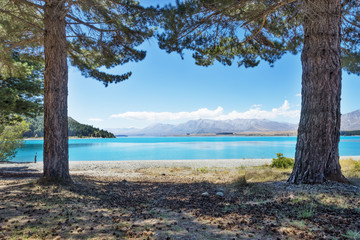 landscape of lake in summer day in new zealand