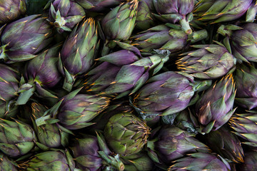 Insieme di carciofi spinosi violetti  freschi raccolti e posati su un tavolo