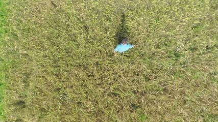 Farmer is walking on wheat field on sunny day