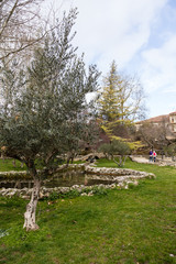 gardens in Brihuega, Spain