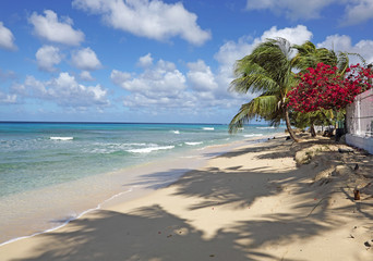 MAHOGANY BAY,BARBADOS.