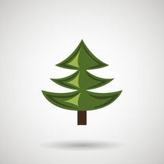 pine tree design 