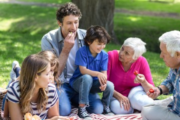 Fototapeta premium Smiling family having a picnic