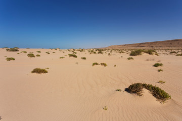 Fototapeta na wymiar Sahara desert in Western Sahara