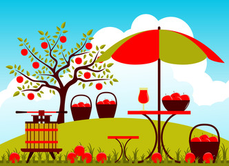 Fototapeta premium apple harvest