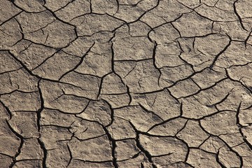  very dry cracked earth gray