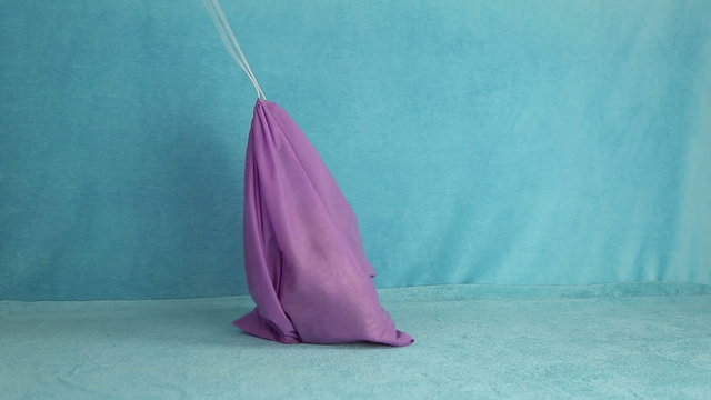 Illustration of a proverb To buy a cat in a sack, the bag with scottish fold cat pose, then open and the cat runs away
