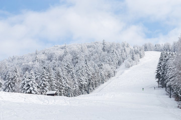 Piste de ski enneigée