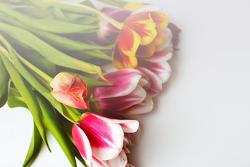 Bouquet of colored tulips